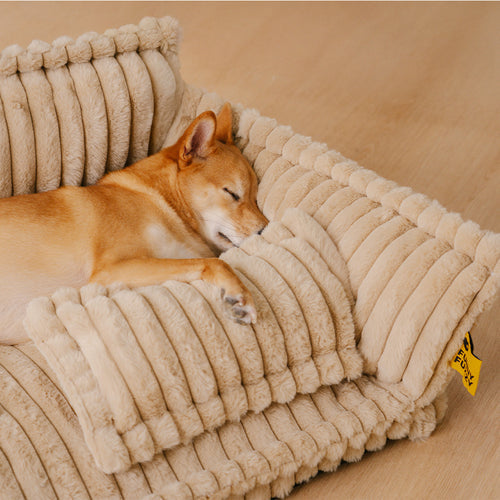 Sofá Premium Patzzy™ – A Cama de Luxo que Seu Pet Merece