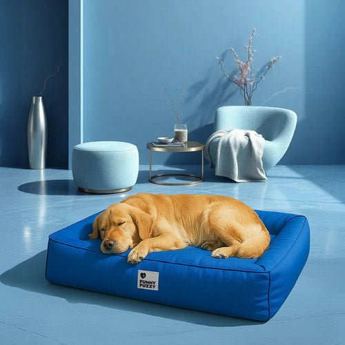 Cama Gelada Patzzy™ – Térmica Refrescante para Cães e Gatos nos Dias Quentes