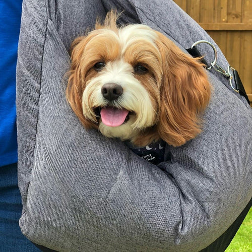 Caminha Móvel Patzzy™ — Transporte 2 em 1 para Pets
