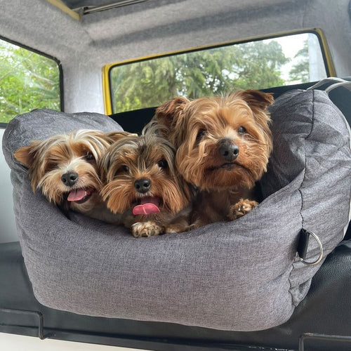 Caminha Móvel Patzzy™ — Transporte 2 em 1 para Pets