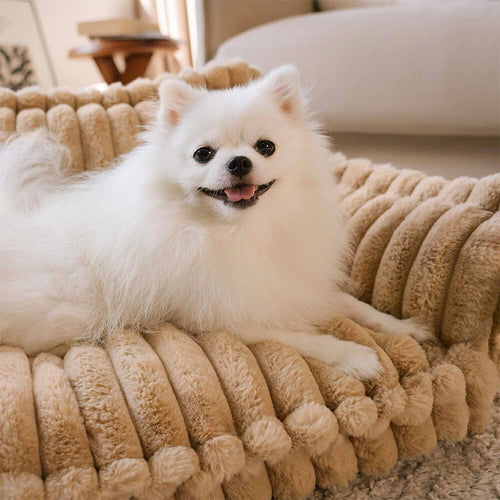 Sofá Premium Patzzy™ – A Cama de Luxo que Seu Pet Merece