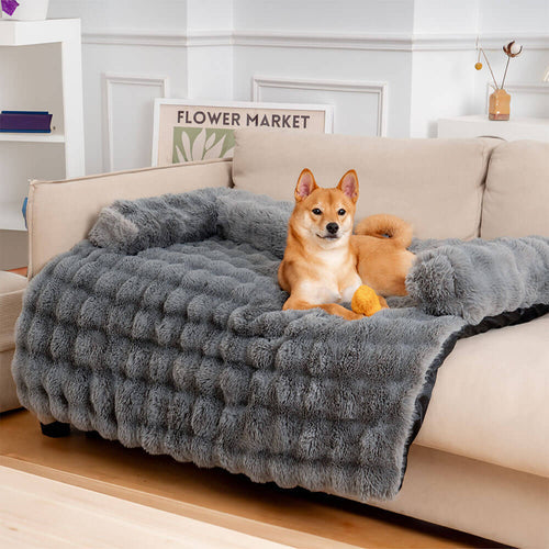 Como manter seu sofá limpo e bonito mesmo com pets em casa