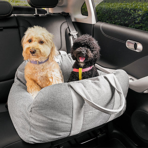 Como transportar seu pet com segurança e conforto no carro