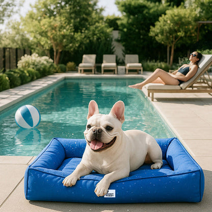 Cama Gelada Patzzy™ – Térmica Refrescante para Cães e Gatos nos Dias Quentes