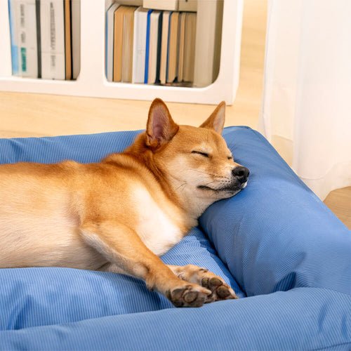 Cama Gelada Patzzy™ – Térmica Refrescante para Cães e Gatos nos Dias Quentes