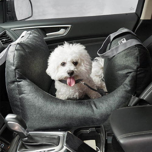 Caminha Móvel Patzzy™ — Transporte 2 em 1 para Pets