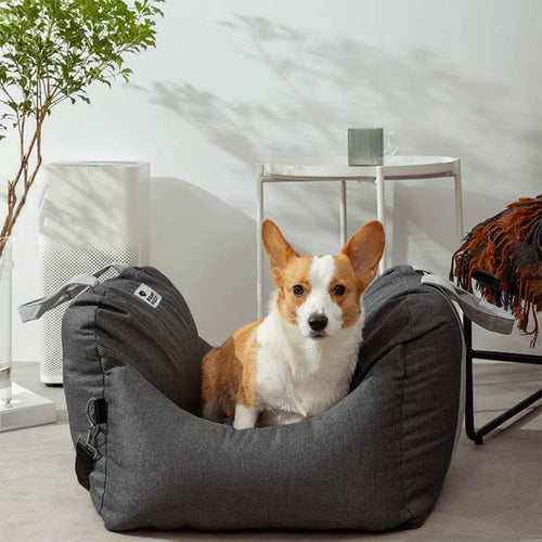 Caminha Móvel Patzzy™ — Transporte 2 em 1 para Pets